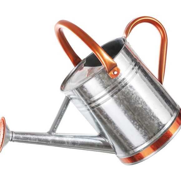 I Gallon Watering Jug For Gardens And Flowers Galvanized Steel - Picture 3 of 15